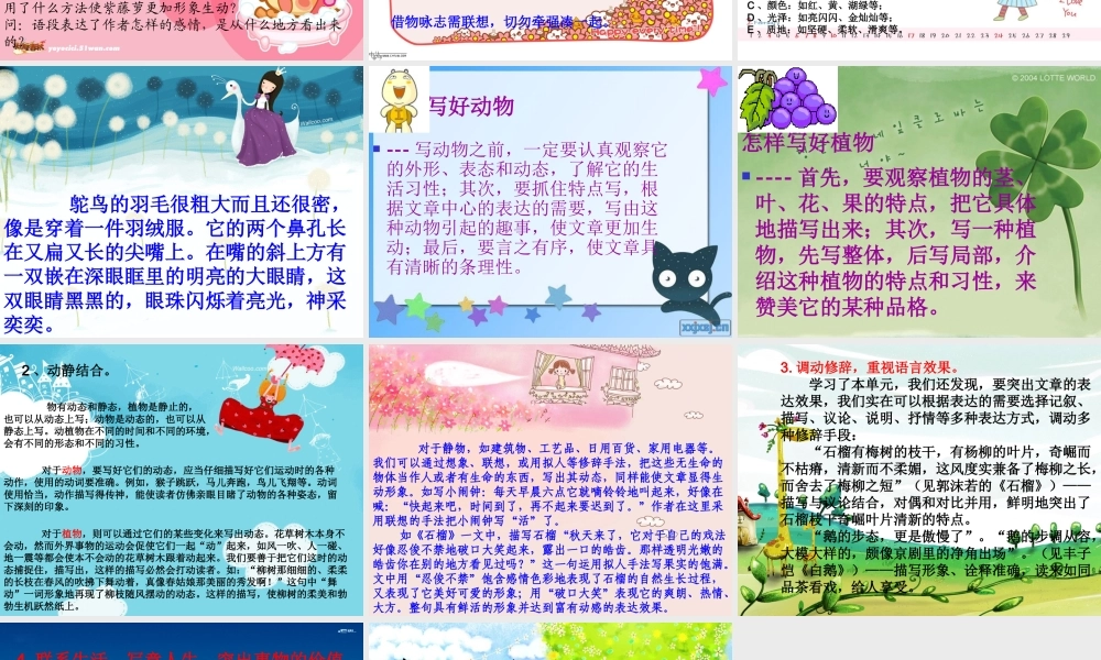 中考语文作文辅导课件 状物作文 课件