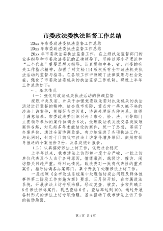 市委政法委执法监督工作总结_1
