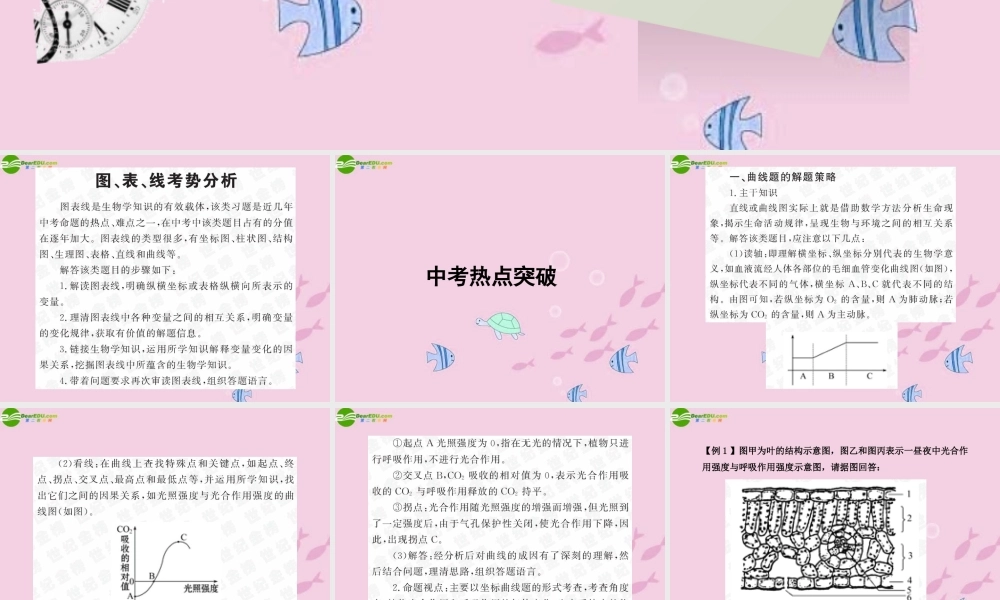 中考生物学业水平考试专题复习 专题八图表线专题突破课件