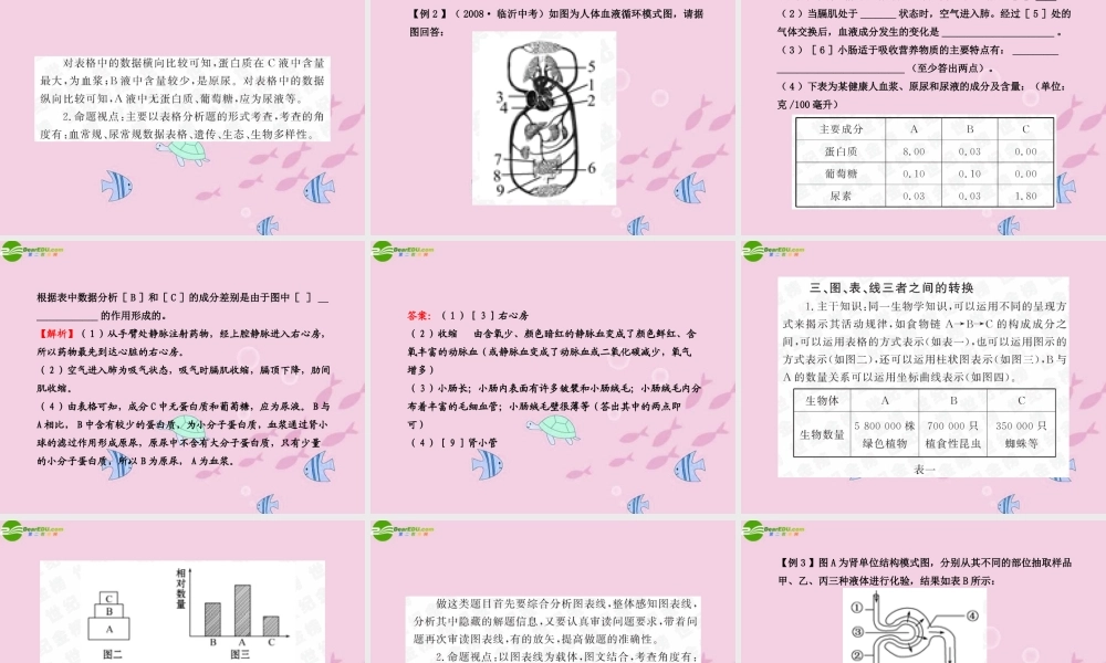 中考生物学业水平考试专题复习 专题八图表线专题突破课件