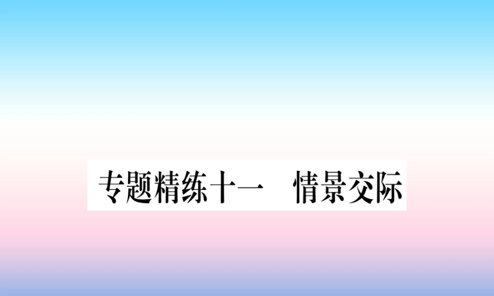 中考英语准点备考 专题精练十一 情景交际课件