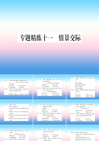 中考英语准点备考 专题精练十一 情景交际课件