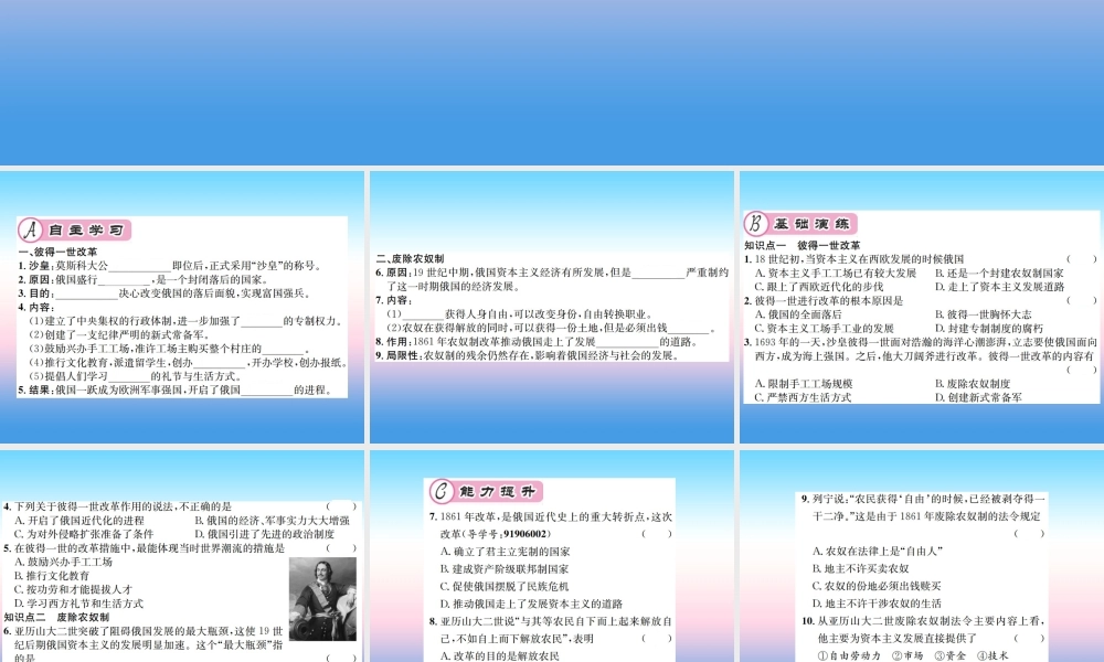 九年级历史下册 第1单元 殖民地人民的反抗与资本主义制度的扩展 第2课 俄国的改革作业课件 新人教版 课件
