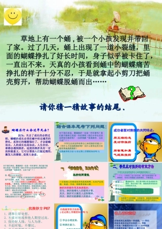 七年级政治下册 挫折面前也从容2课件 人教新课标版 课件