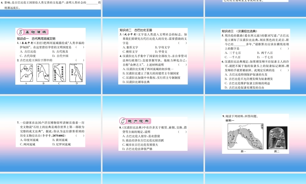 九年级历史上册 第1单元 古代亚非文明 第2课 古代两河流域作业课件 新人教版 课件