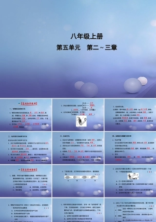 中考生物一轮复习 第五单元 第二、三章 动物的运动和行为以及动物在生物圈中的作用课件 新人教版 课件