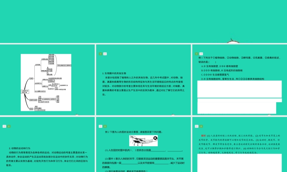 中考生物 专题5 生物圈中的其他生物课件