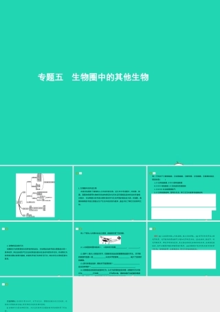 中考生物 专题5 生物圈中的其他生物课件