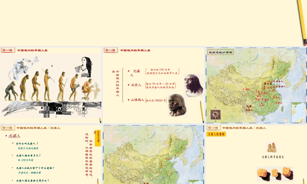 七年级历史上册 1.1(中国境内的早期人类)课件 川教版 课件