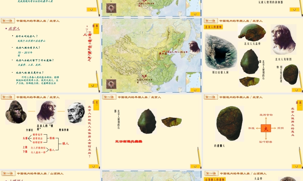七年级历史上册 1.1(中国境内的早期人类)课件 川教版 课件