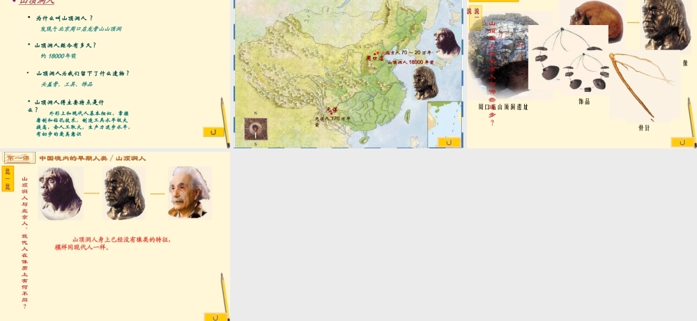 七年级历史上册 1.1(中国境内的早期人类)课件 川教版 课件