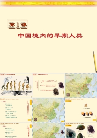 七年级历史上册 1.1(中国境内的早期人类)课件 川教版 课件