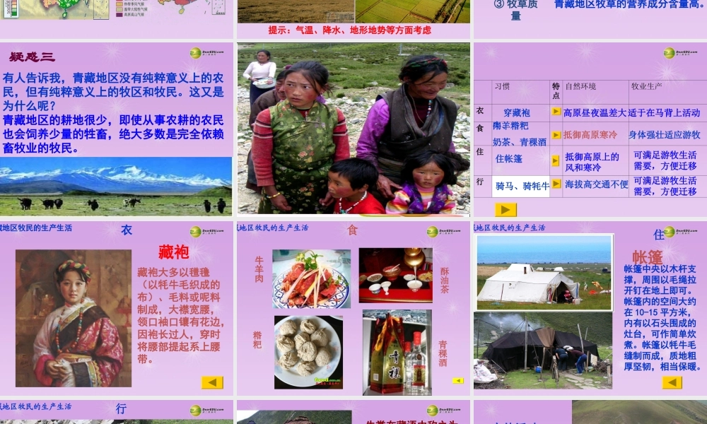 七年级历史与社会上册 第三单元第二课第二框 海拔最高的牧场课件 人教版 课件