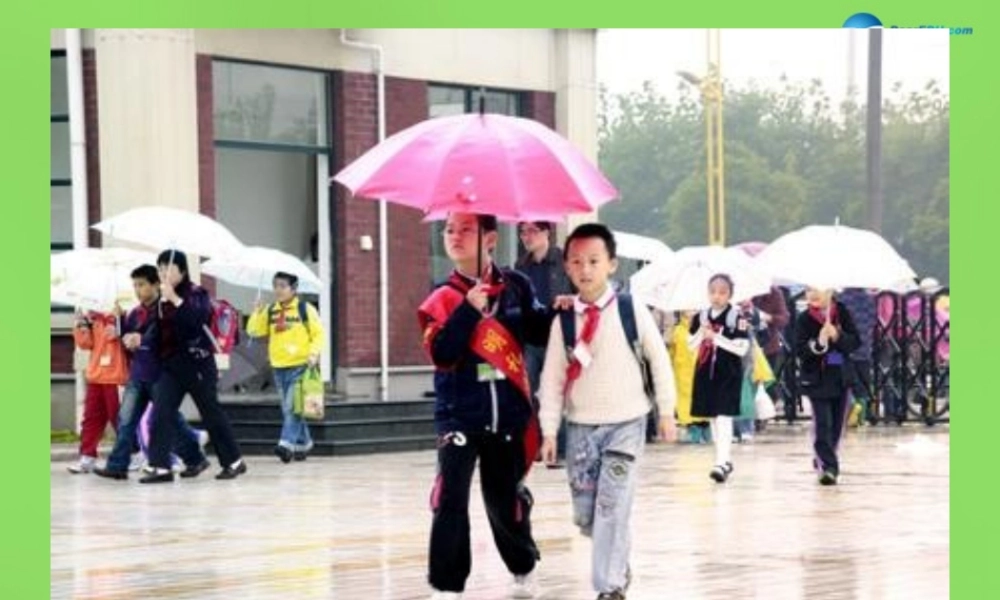 七年级政治下册 第8单元 第17课 生活中有是非善恶课件 鲁教版 课件