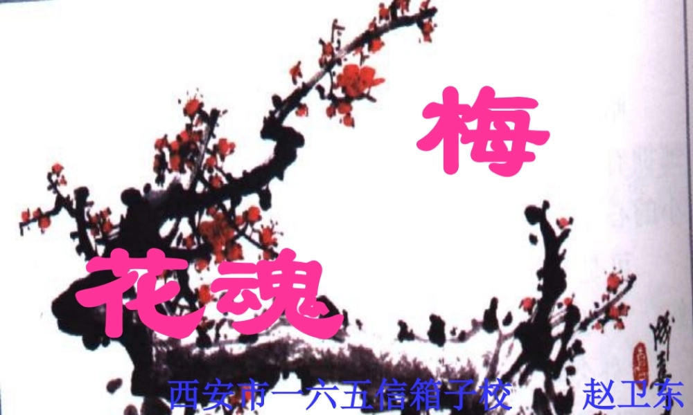 五年级语文梅花魂