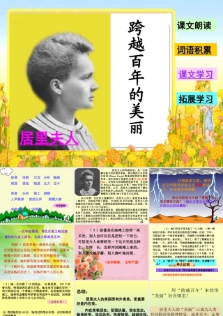 《跨越百年的美丽》