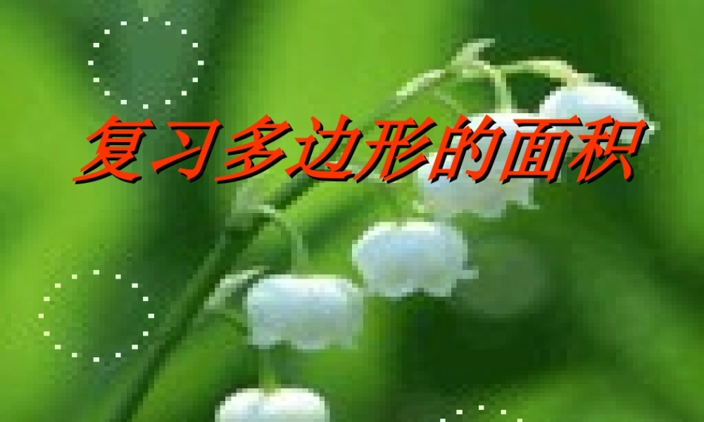 复习多边形的面积