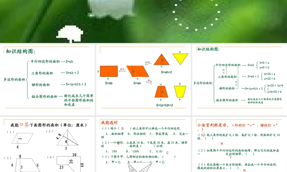 复习多边形的面积