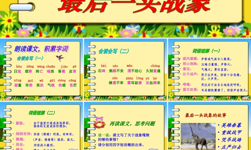 新课标人教版第十一册语文最后一头战象优质课件下载3