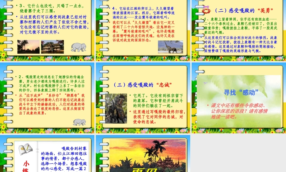 新课标人教版第十一册语文最后一头战象优质课件下载3