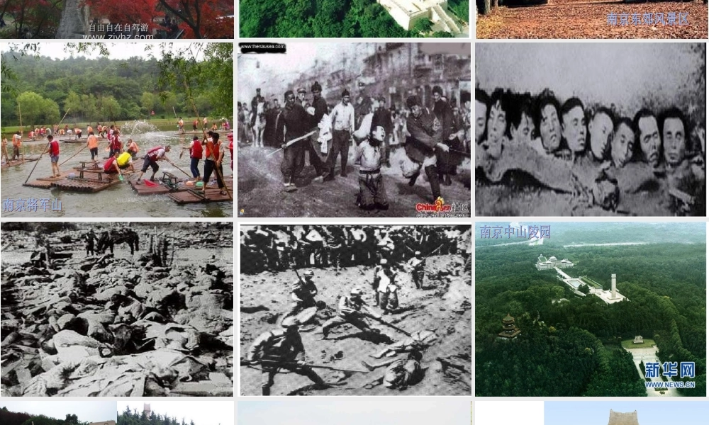 《雨花石》课件