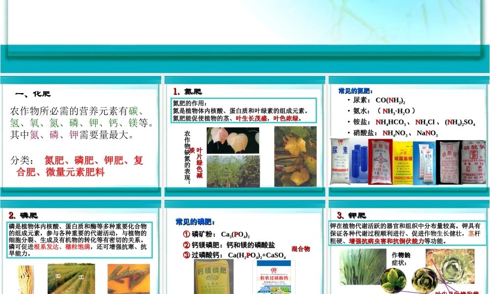 初中化学肥料PPT课件