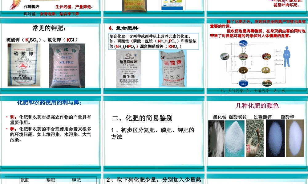 初中化学肥料PPT课件