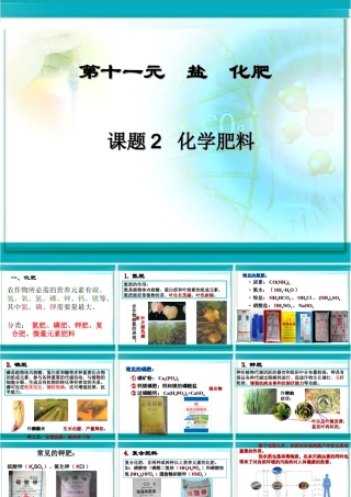 初中化学肥料PPT课件