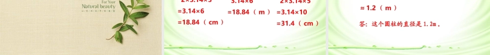 人教版六年级数学上册第四单元第三课时_圆的周长