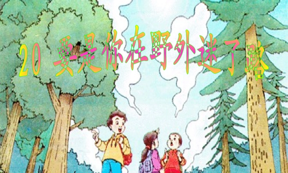 要是你在野外迷了路(梁奇志）