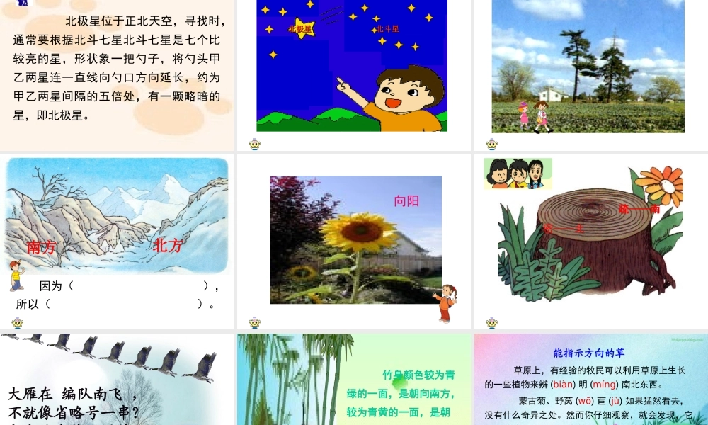 要是你在野外迷了路(梁奇志）
