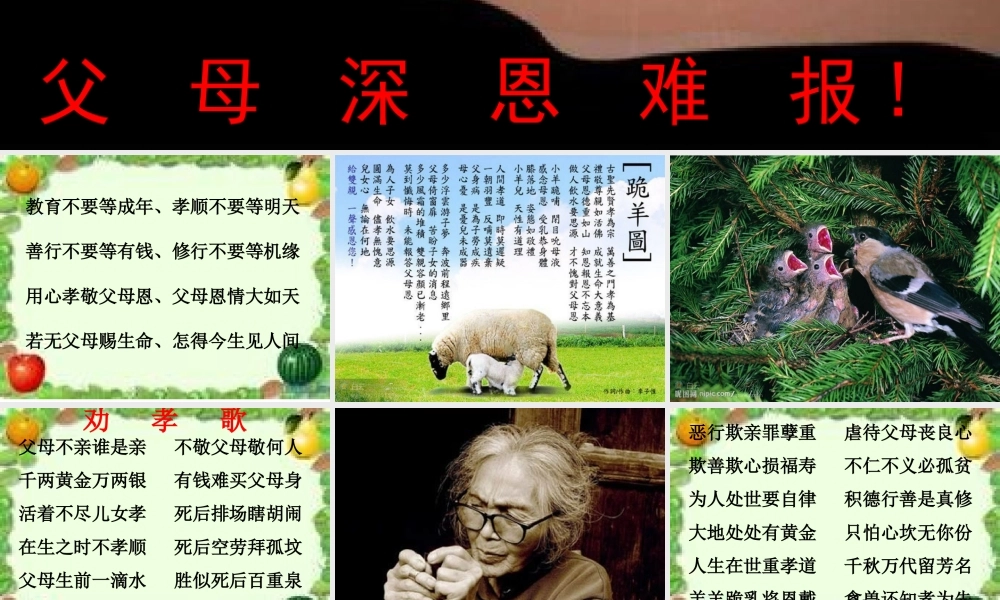 父母深恩难报