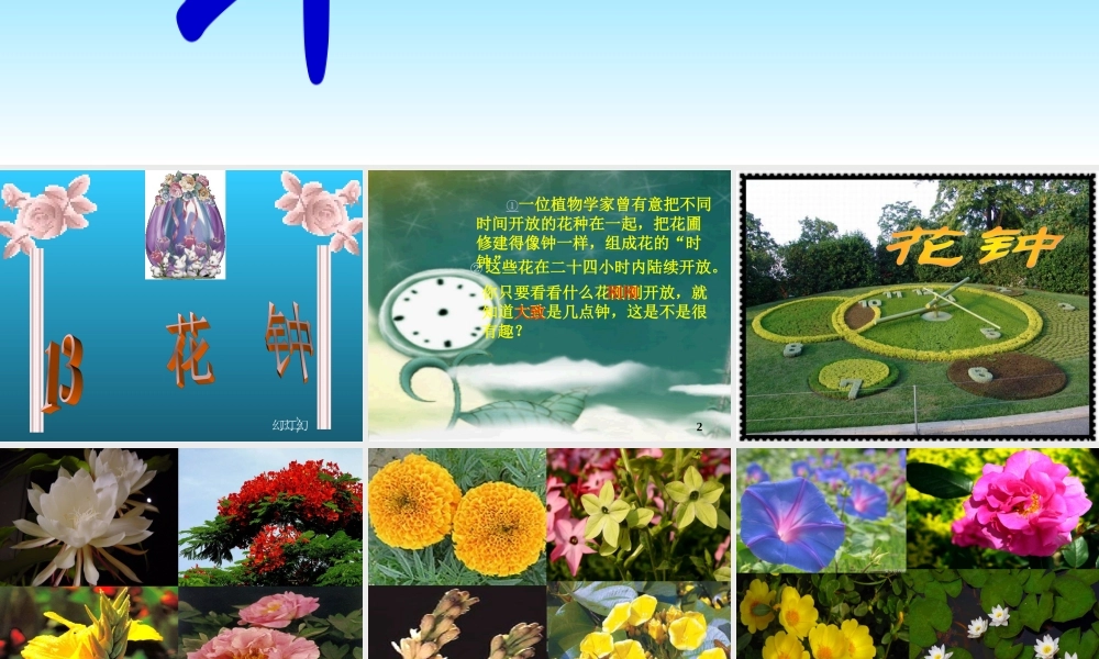 语文三年级上《花钟》课件（