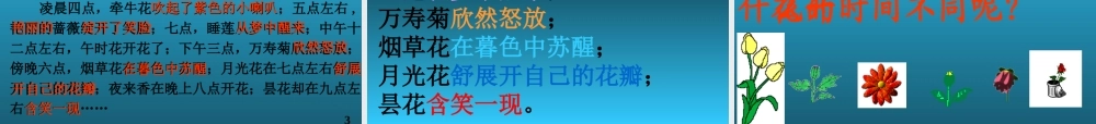 语文三年级上《花钟》课件（
