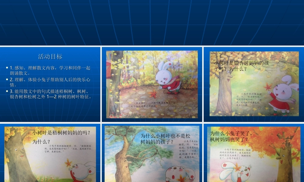 中班：小树叶找妈妈