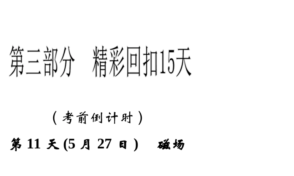 2013年高三物理二轮精彩回扣15天课件：第11天磁场