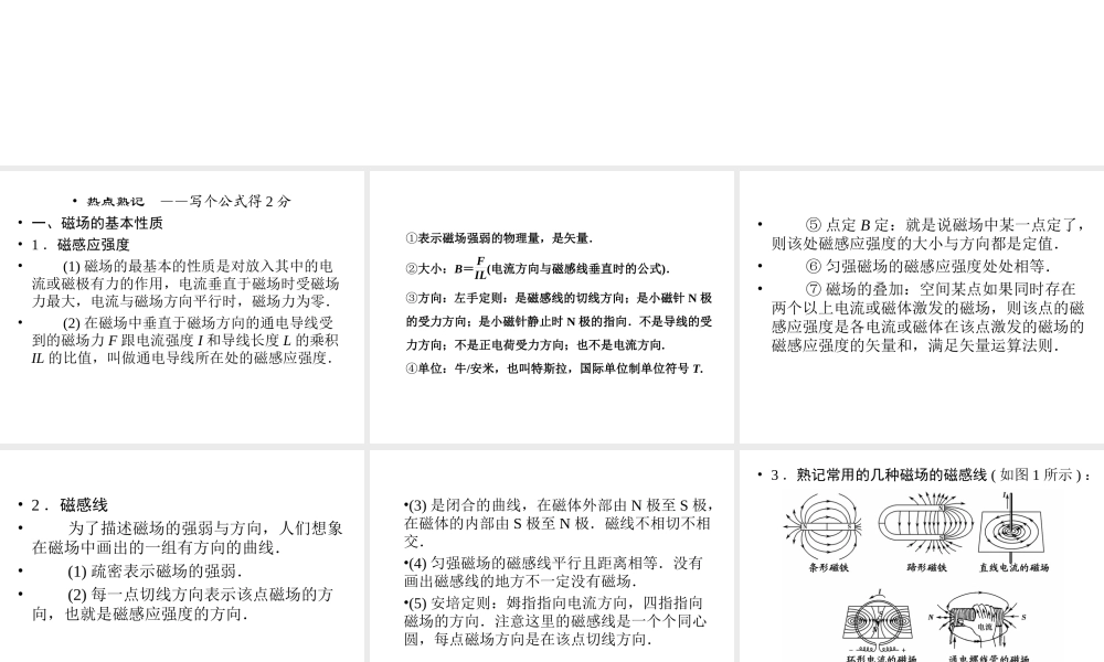 2013年高三物理二轮精彩回扣15天课件：第11天磁场