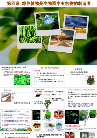绿色植物是生物圈中有机物的制造者课件(新人教版)