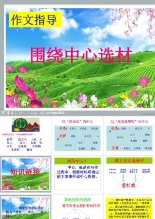 围绕中心选材的作文指导