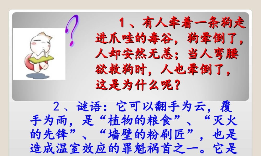 二氧化碳和一氧化碳 (2)