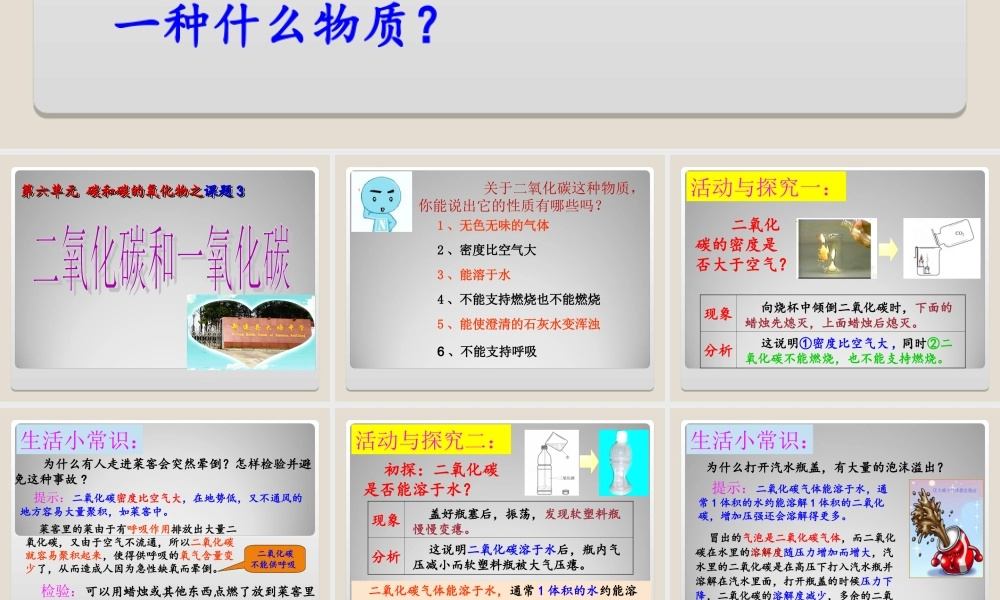 二氧化碳和一氧化碳 (2)