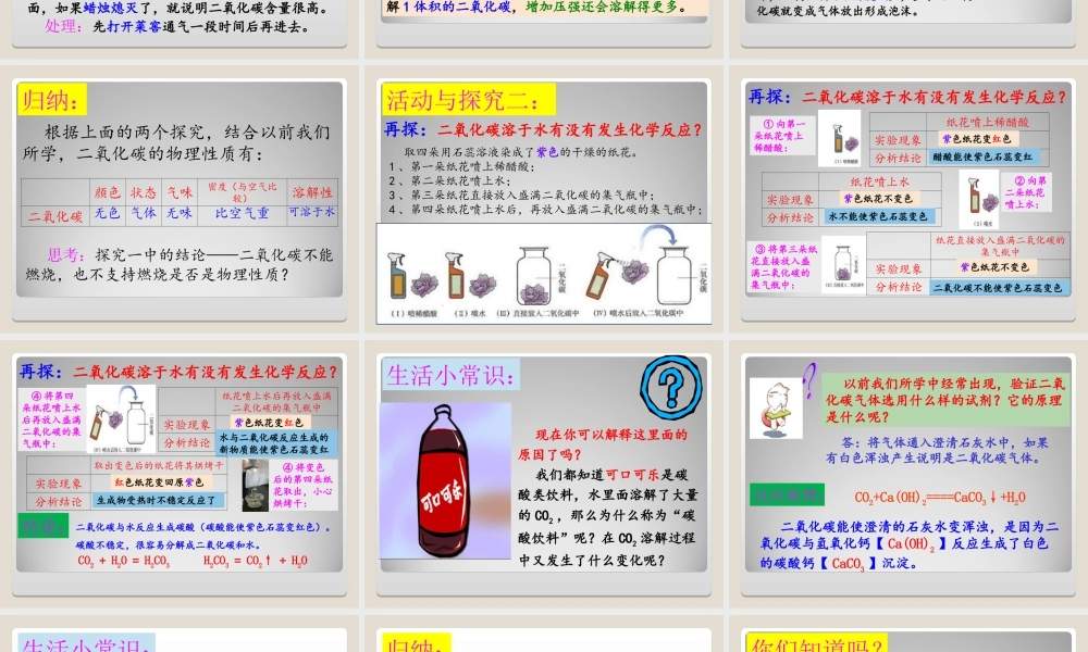 二氧化碳和一氧化碳 (2)