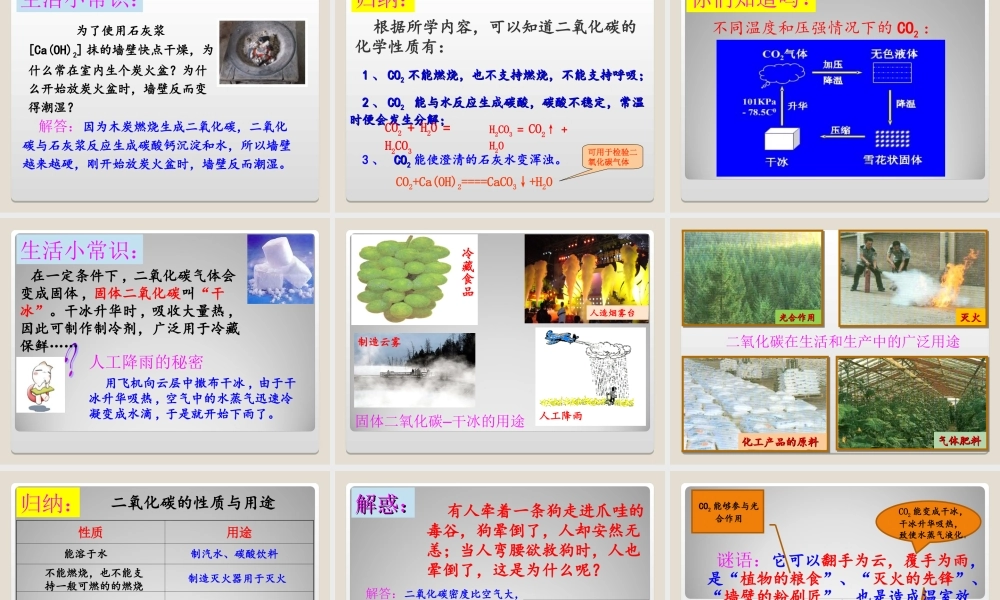 二氧化碳和一氧化碳 (2)