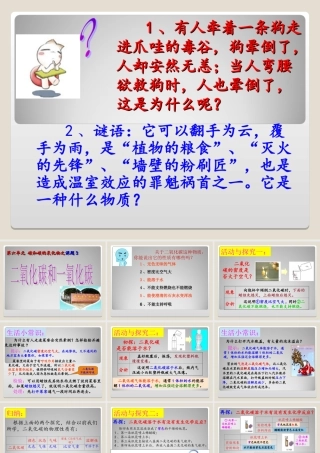 二氧化碳和一氧化碳 (2)