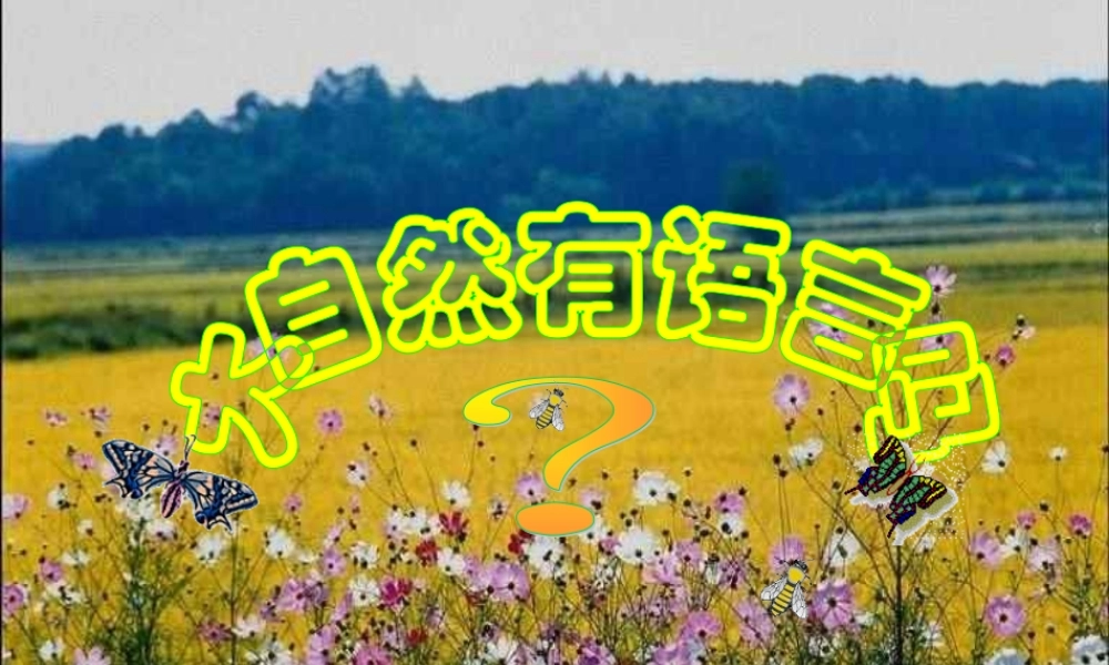 大自然的语言课件1