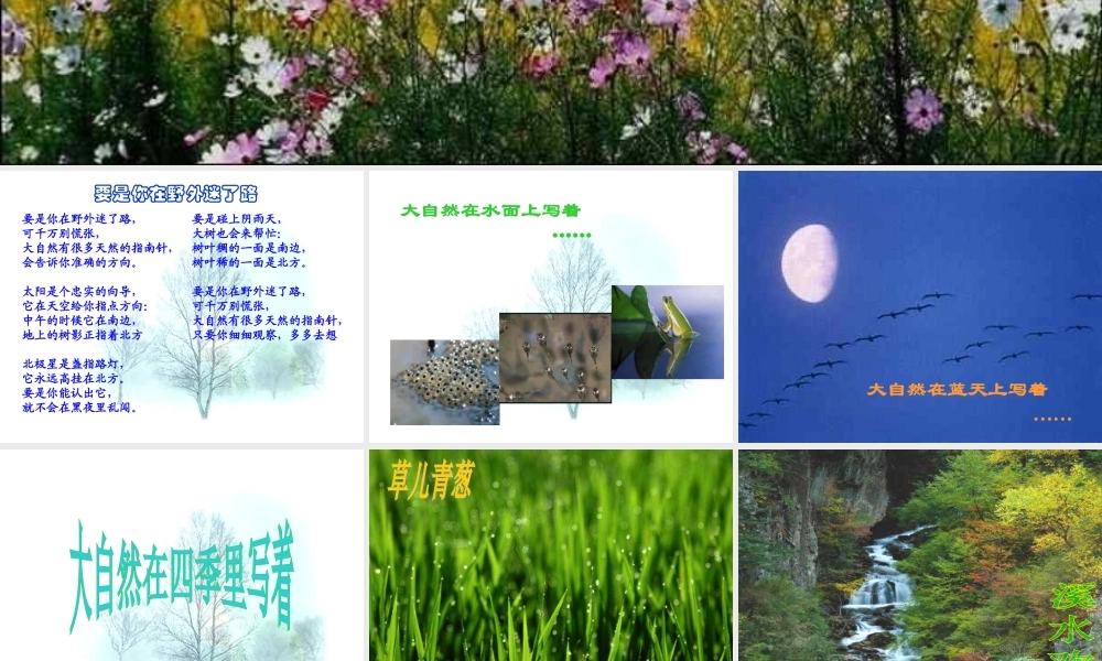 大自然的语言课件1