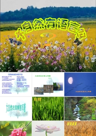 大自然的语言课件1