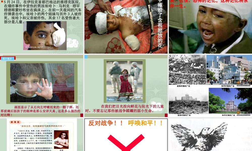 《战争,人类的灾难》课件