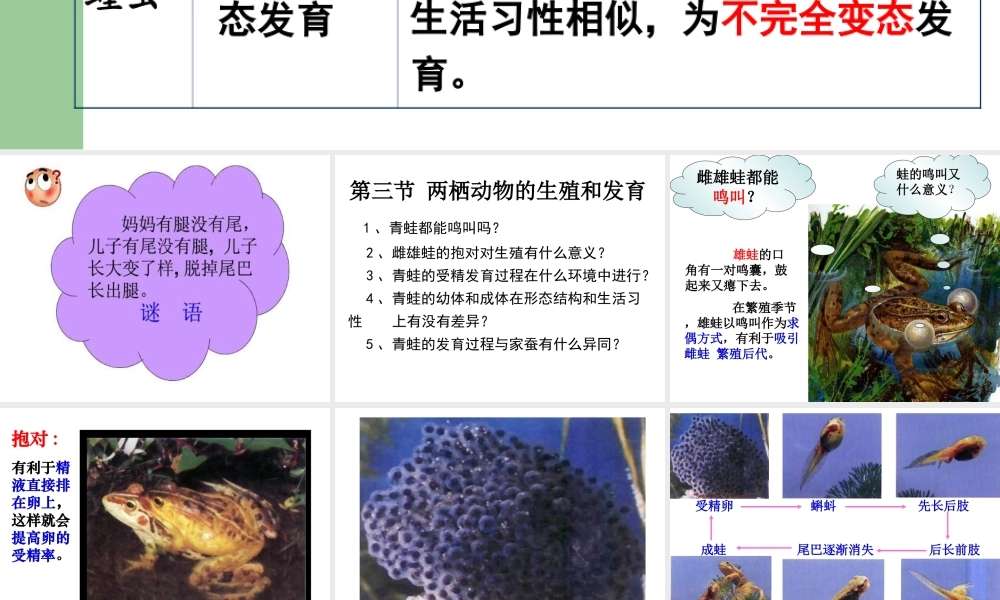 人教版八年级生物课件(两栖动物的生殖和发育)