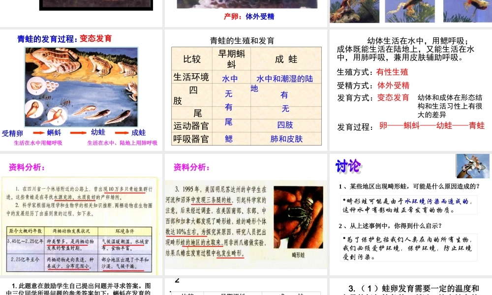 人教版八年级生物课件(两栖动物的生殖和发育)